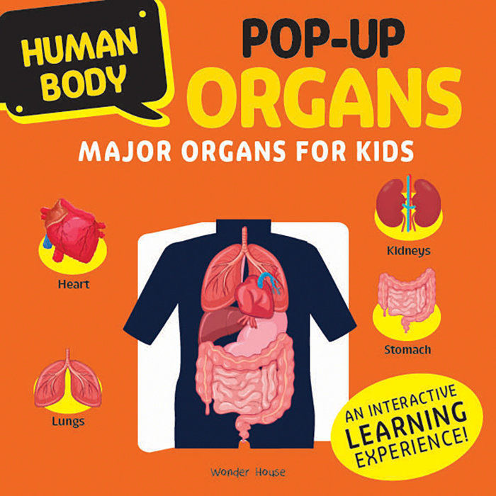 Human Body Pop-up ORGANS Major organs for Kids
