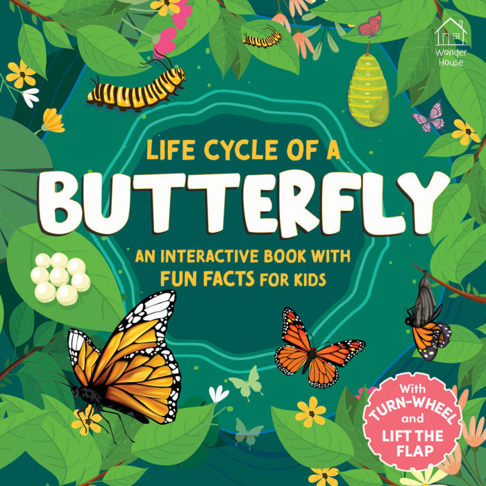 Life Cycles of a Butterfly - with lift the Flap and Turn the Wheel