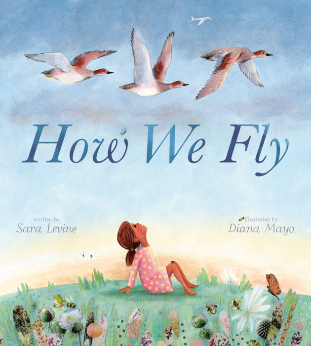How We Fly