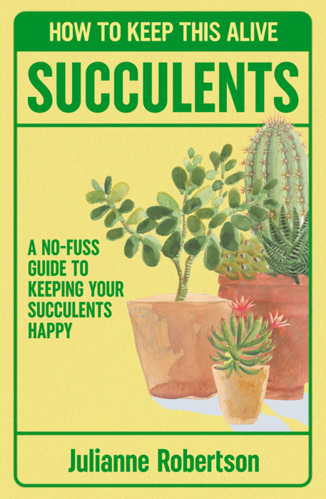 Succulents: How to Keep This Alive