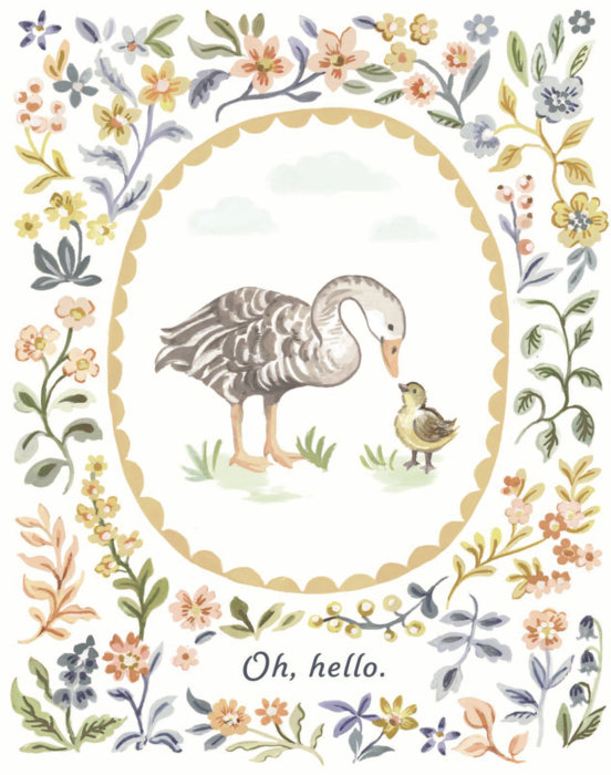 Love Muchly Greeting Cards: Baby - Oh, Hello (Pack of 6)