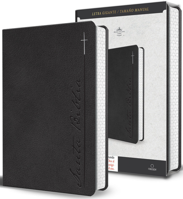 Biblia RVR 1960 Letra gigante, símil piel, gris (Edición cantos pintados)  / Spanish Bible RVR 1960 Giant Print Handy Size Leathersoft Gray with cross
