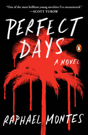 Perfect Days Book Cover Picture