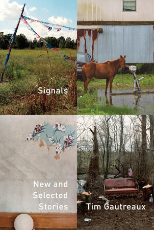 The cover of the book Signals