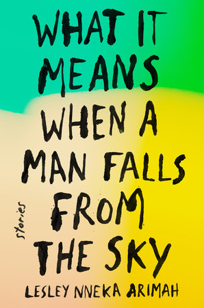 The cover of the book What It Means When a Man Falls from the Sky