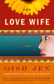 Gish jens novel typical american essay