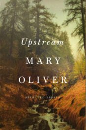 Upstream