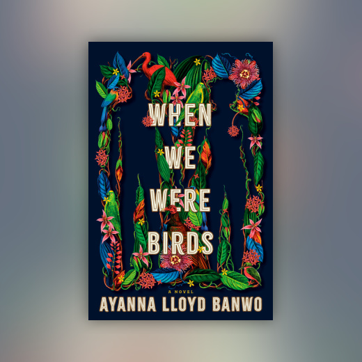 When We Were Birds