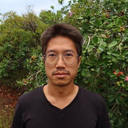 Tao Lin, author portrait