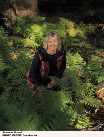 Suzanne Simard, author portrait