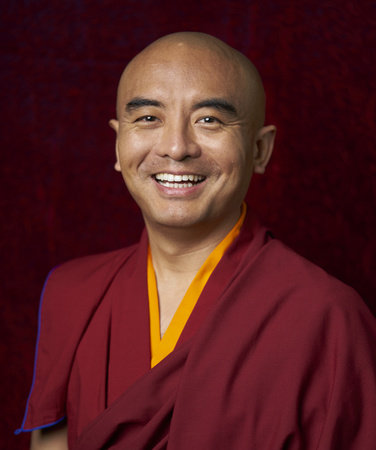 Yongey Mingyur Rinpoche, author portrait
