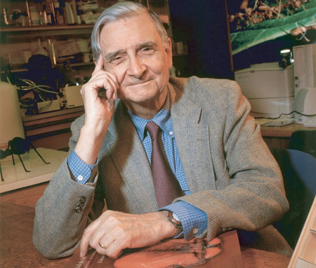 Edward O. Wilson, author portrait