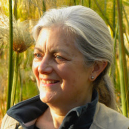 Kathleen Weidner Zoehfeld, author portrait