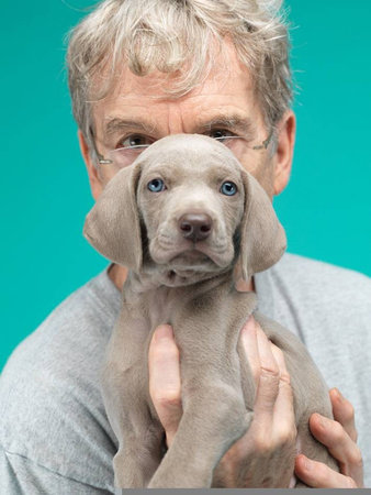 William Wegman, author portrait