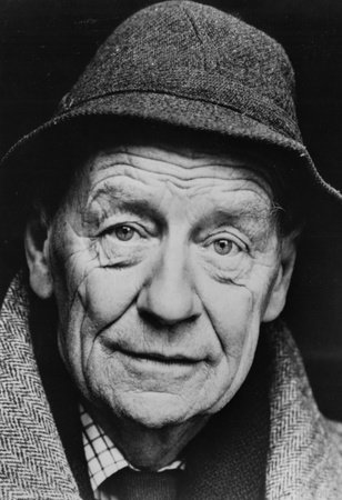 William Trevor, author portrait