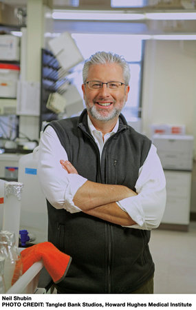 Neil Shubin, author portrait