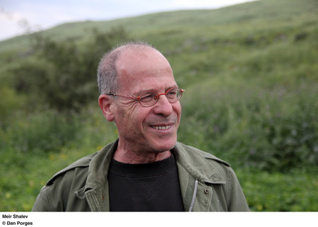 Meir Shalev, author portrait