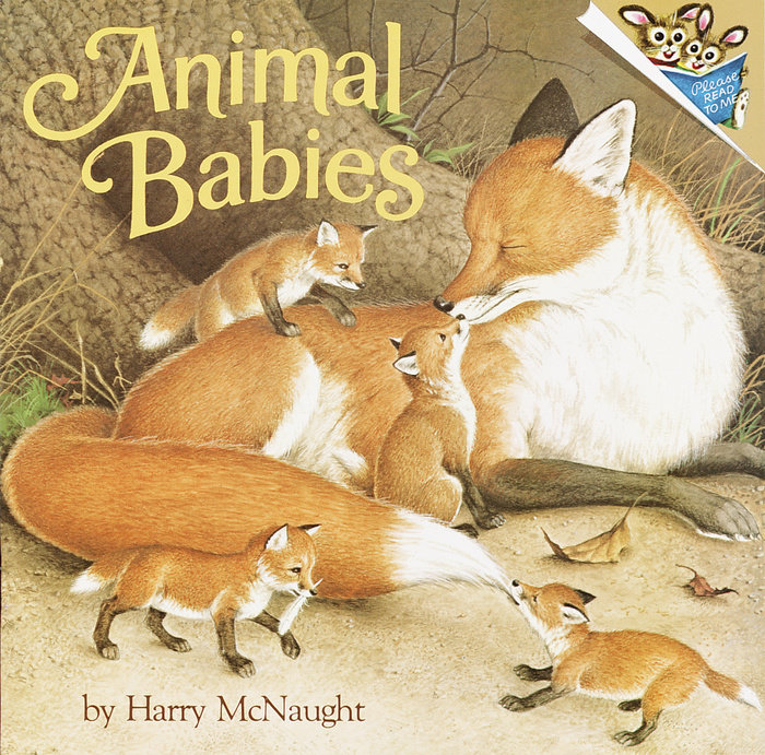 Cover of Animal Babies