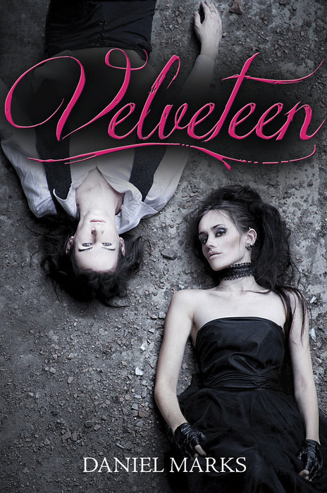 Cover of Velveteen