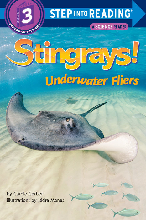 Cover of Stingrays! Underwater Fliers