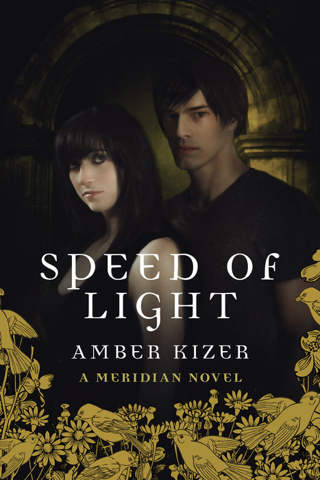Cover of Speed of Light