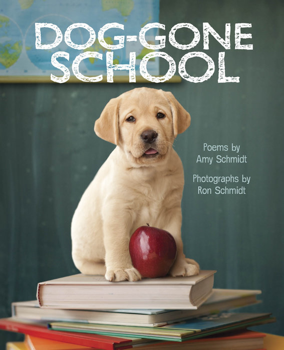Cover of Dog-Gone School