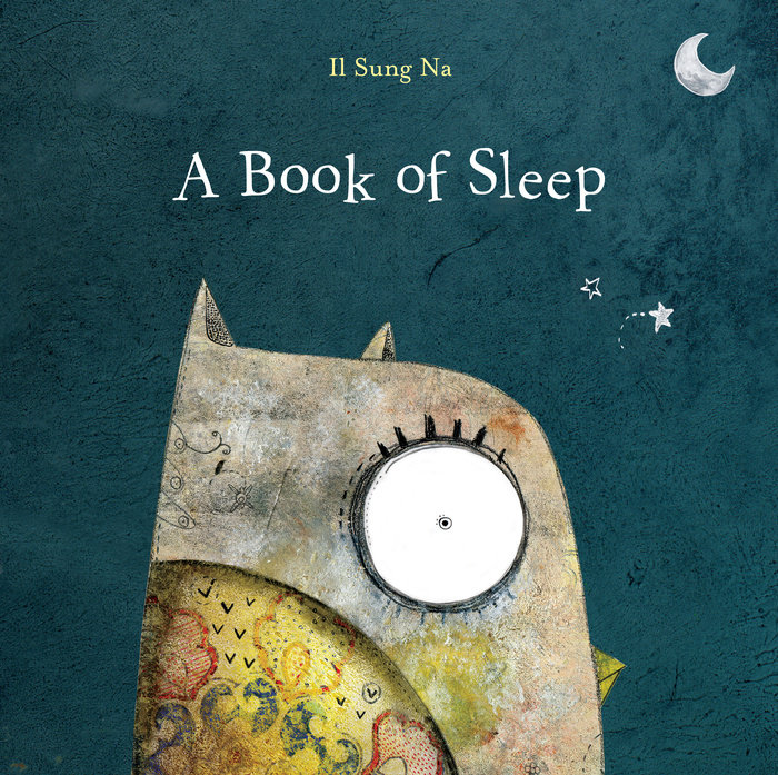 Cover of A Book of Sleep