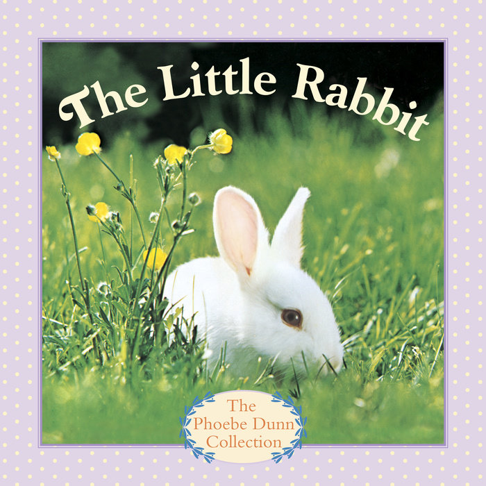 Cover of The Little Rabbit