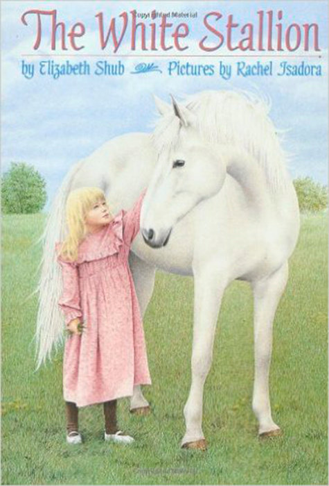 Cover of The White Stallion