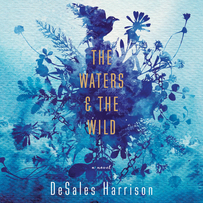 The Waters & The Wild Cover