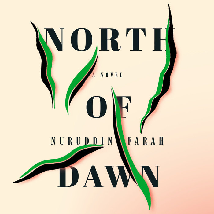 North of Dawn Cover