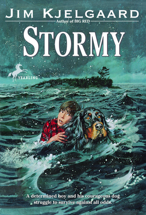 Cover of Stormy