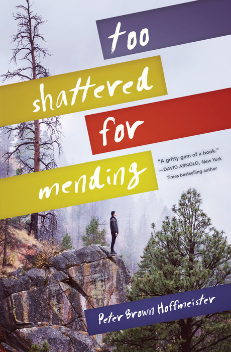 Cover of Too Shattered for Mending