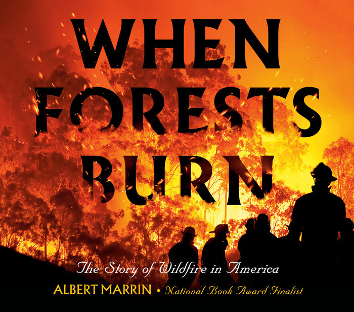 Cover of When Forests Burn