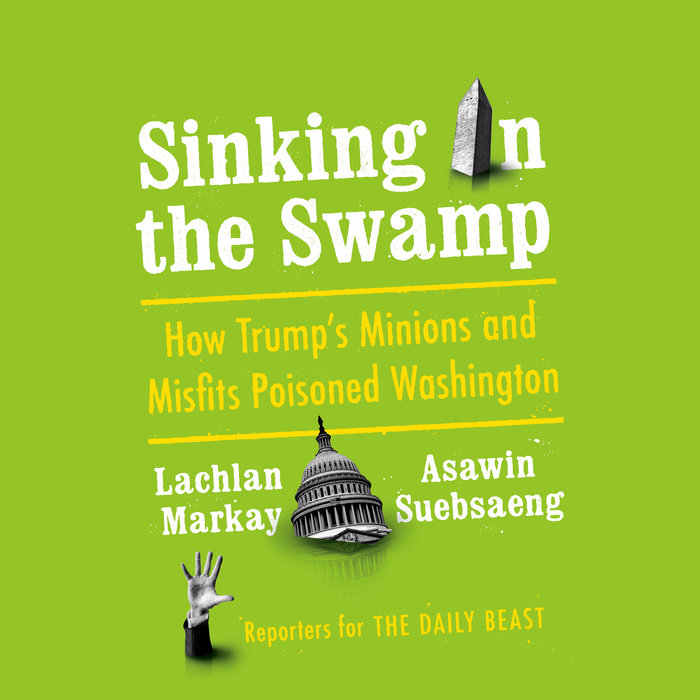 Sinking in the Swamp Cover