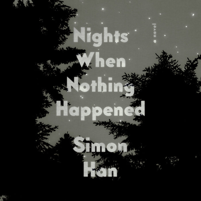 Nights When Nothing Happened Cover