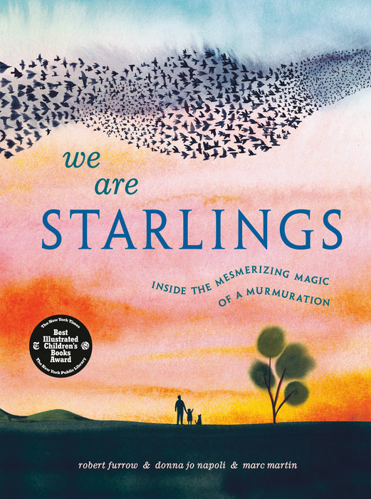 Cover of We Are Starlings