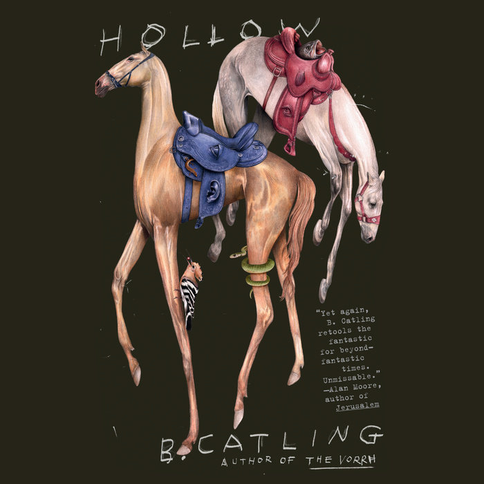 Hollow Cover
