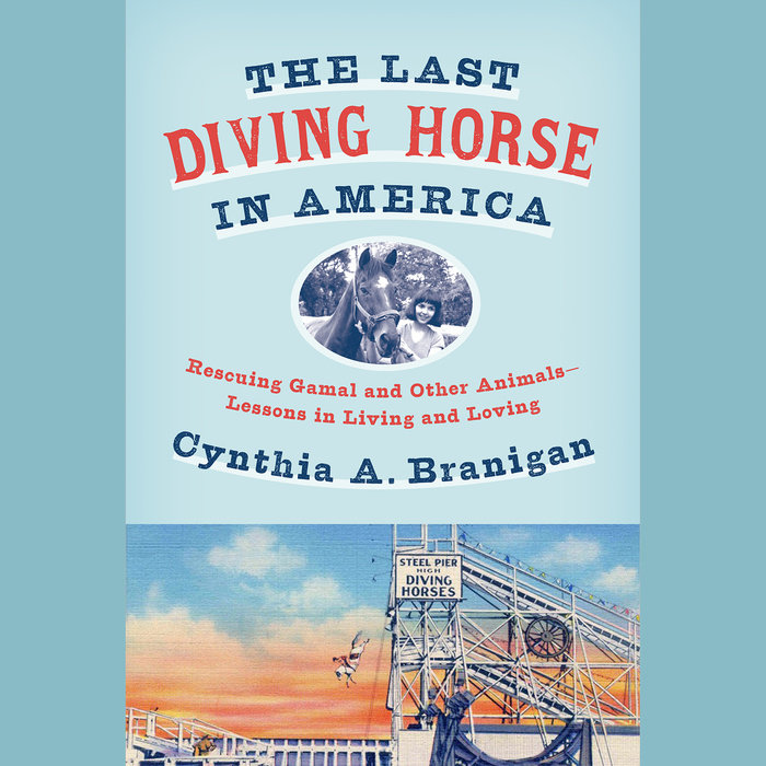 The Last Diving Horse in America Cover