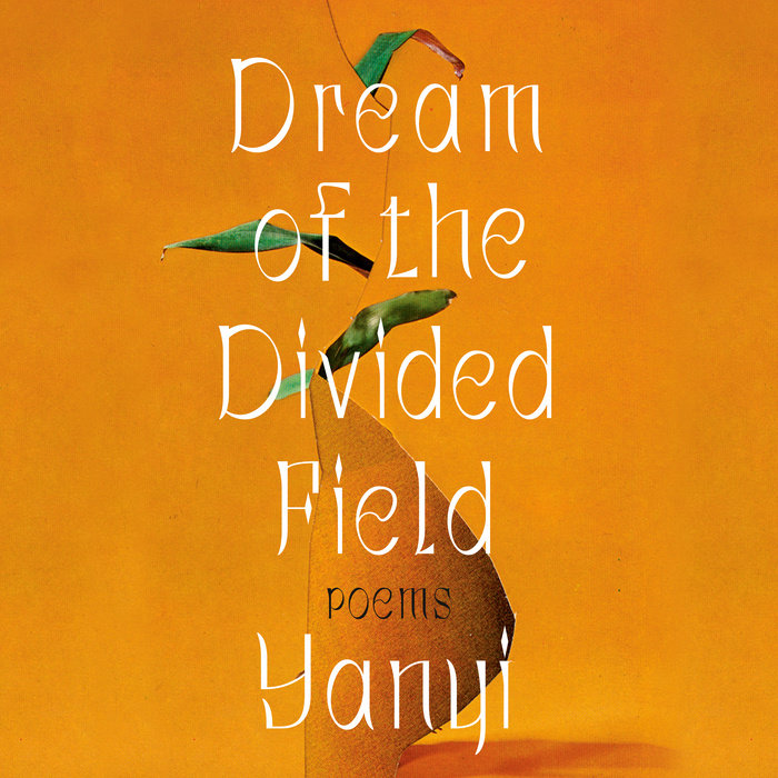 Dream of the Divided Field Cover