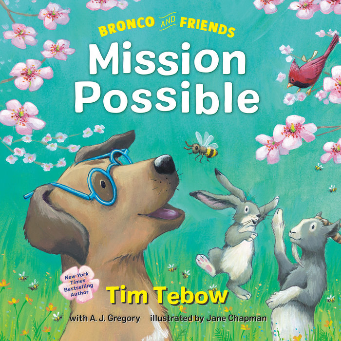 Bronco and Friends: Mission Possible Cover