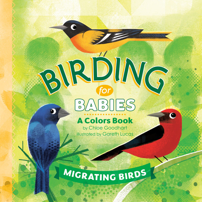 Birding for Babies: Migrating Birds Cover