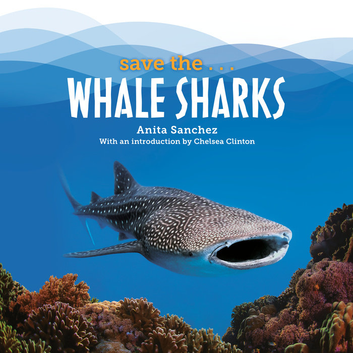 Save the...Whale Sharks Cover