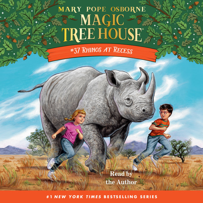 Rhinos at Recess Cover