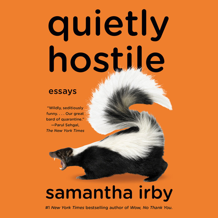 Quietly Hostile Cover