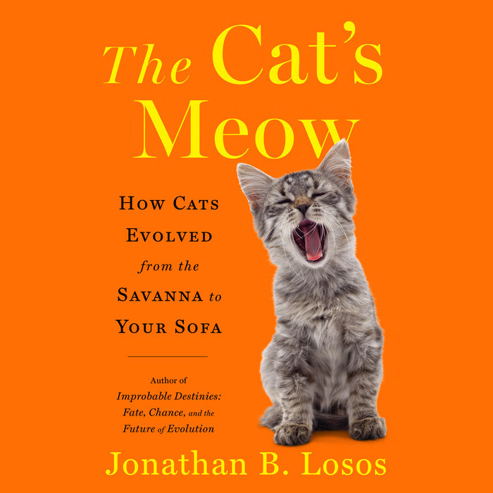 The Cat's Meow Cover