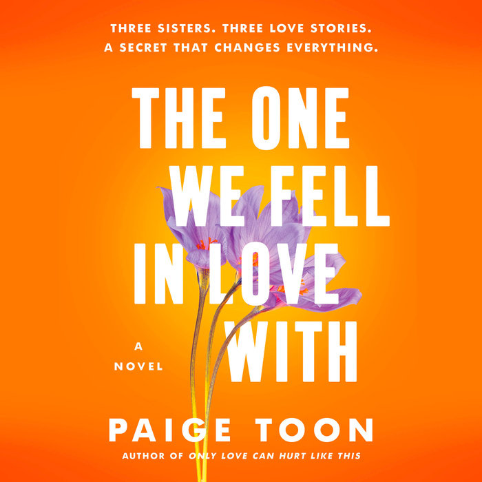 The One We Fell in Love With Cover