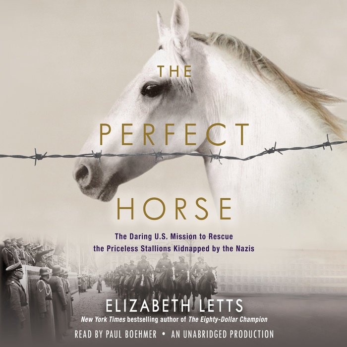 book review of the perfect horse by elizabeth letts