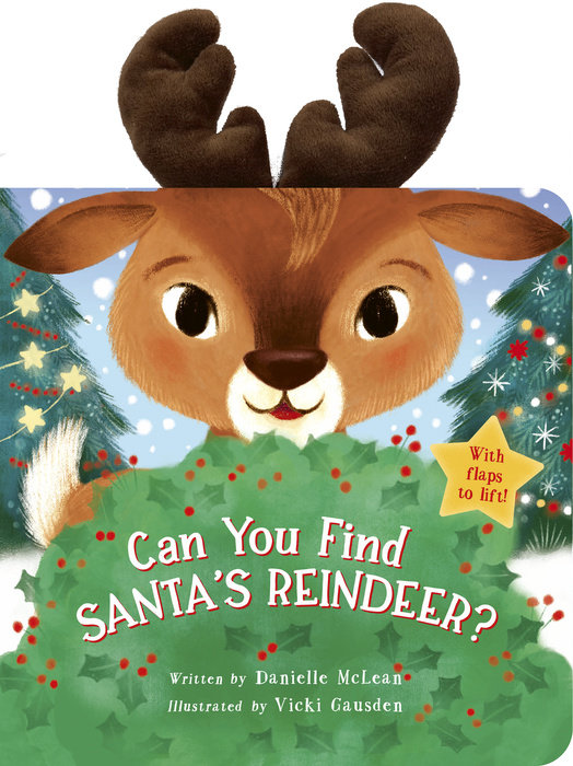 Cover of Can You Find Santa\'s Reindeer?