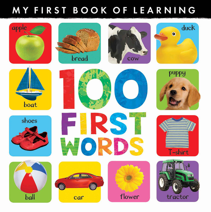 Cover of 100 First Words